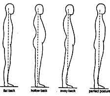 Postural positions